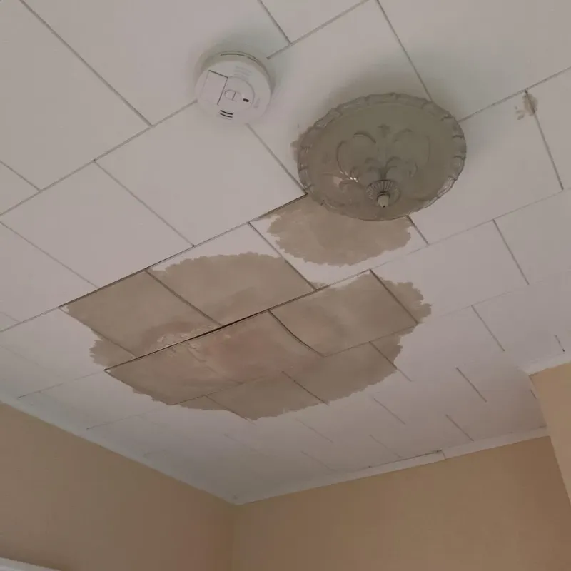 Ceiling Water Damage Repair in Bridgehampton, NY