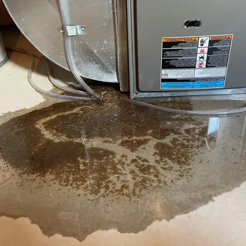 Pipe Burst and Leak Restoration in Bridgehampton, NY